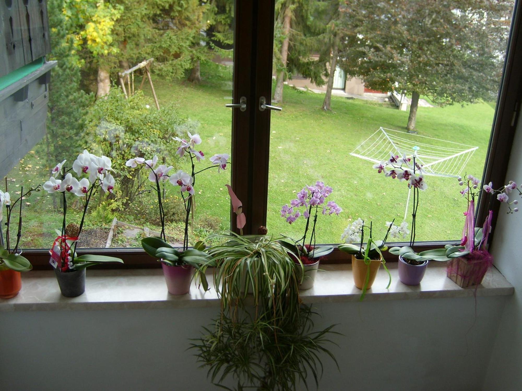 Appartements Birkenhof Berwang Extérieur photo